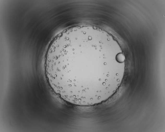 X0000088220856200705151027