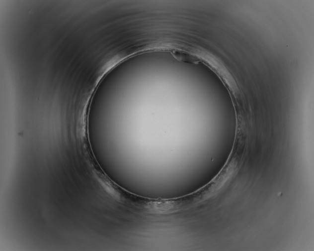 X0000088220858200705151027