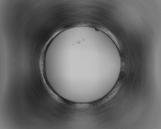 X0000088220859200705151027