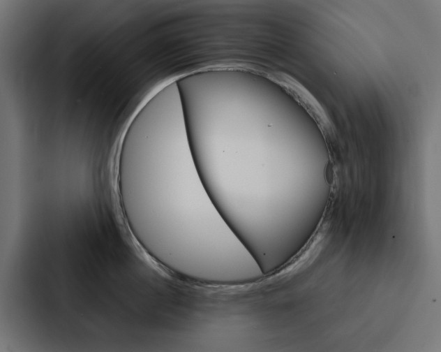 X0000088220860200705151027