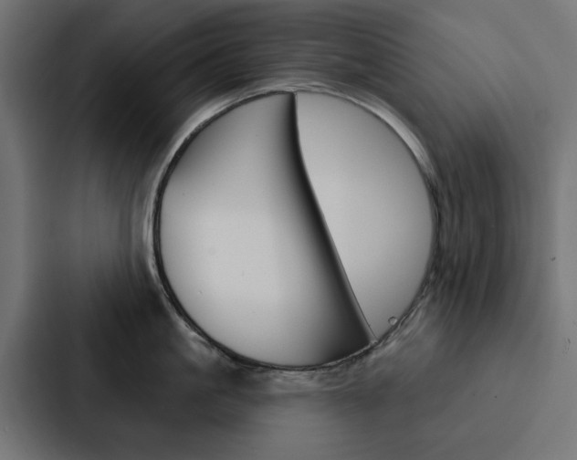 X0000088220861200705151027