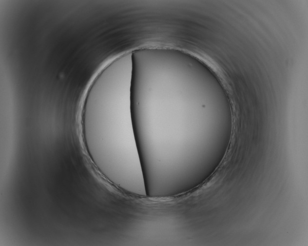 X0000088220864200705151028