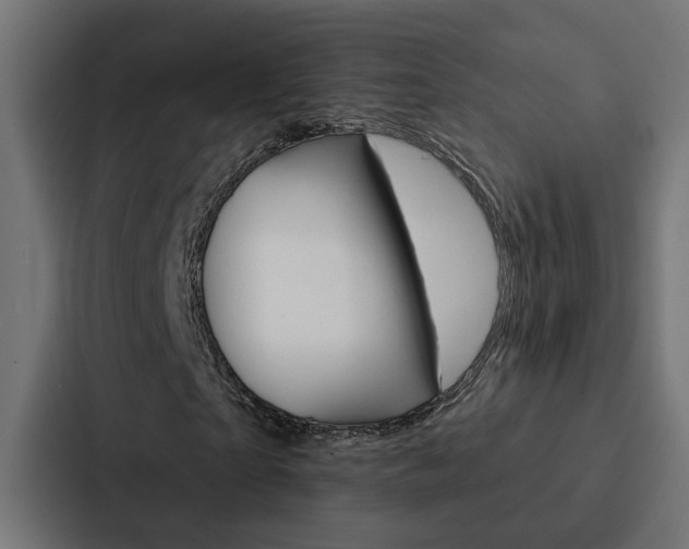 X0000088220865200705151027