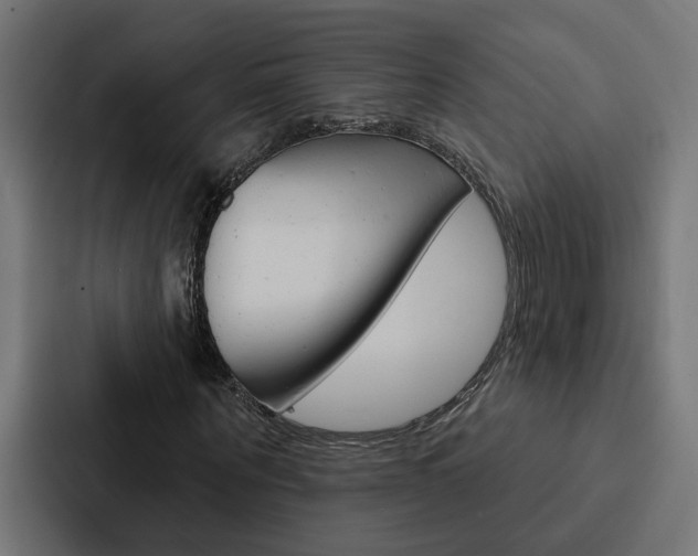 X0000088220867200705151027