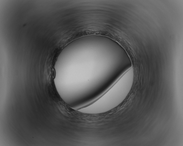 X0000088220868200705151027