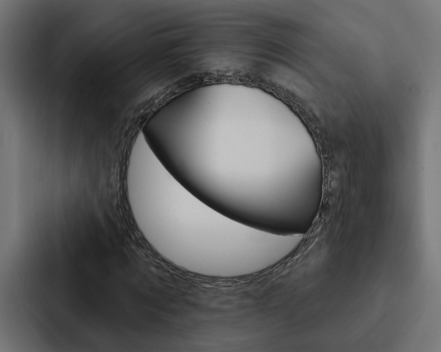 X0000088220869200705151027