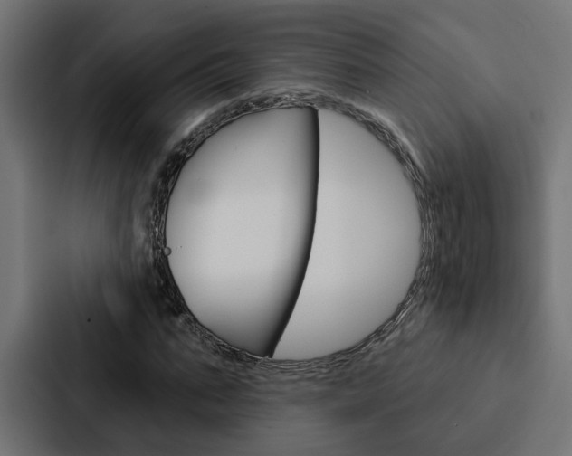 X0000088220871200705151027