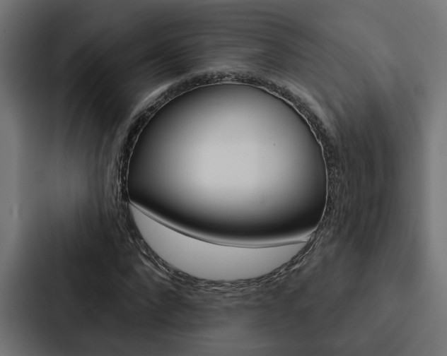 X0000088220872200705151027