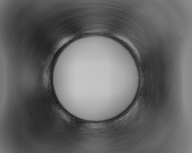X0000088220874200705151027