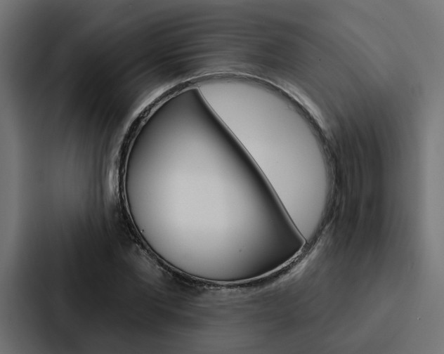 X0000088220877200705151027