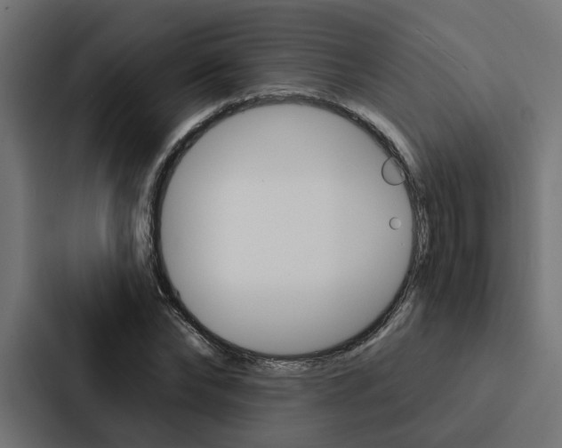 X0000088220878200705151027