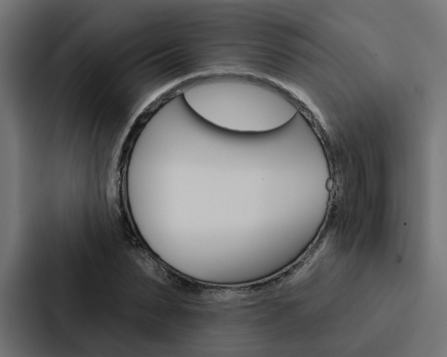 X0000088220879200705151027