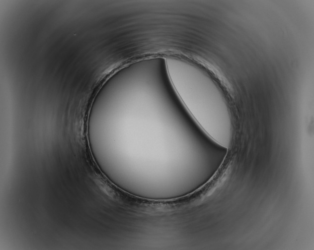 X0000088220881200705151027