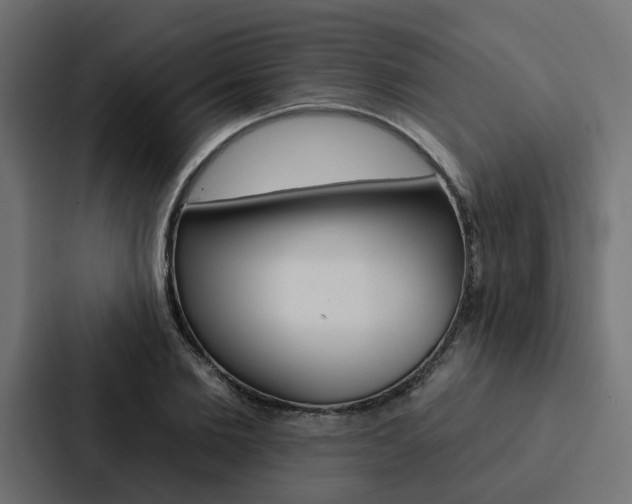 X0000088220885200705151027