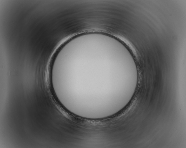 X0000088220886200705151027