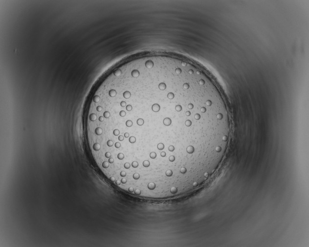 X0000088220887200705151027