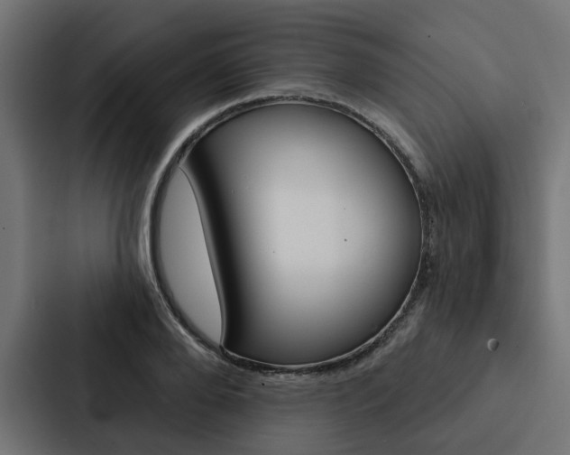 X0000088220888200705151027