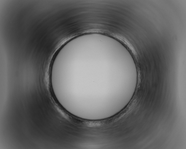 X0000088220890200705151027