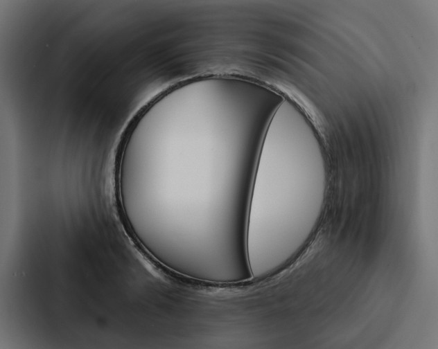 X0000088220894200705151027