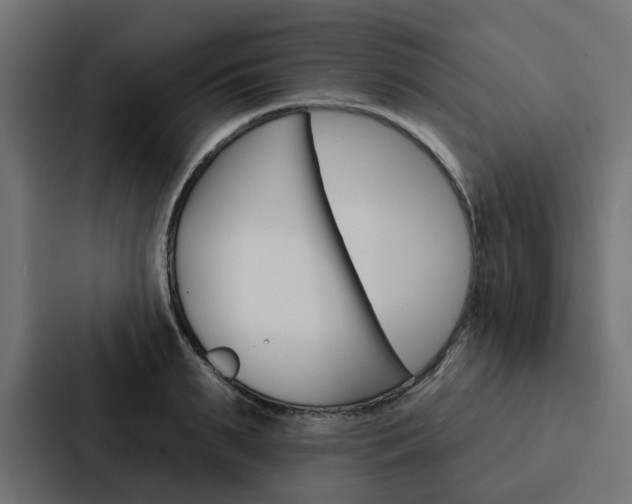X0000088220895200705151027