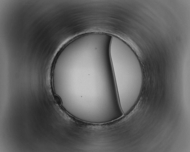 X0000088220896200705151027