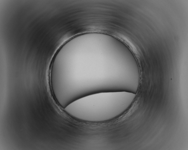 X0000088220899200705151026