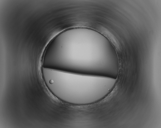X0000088220900200705151026