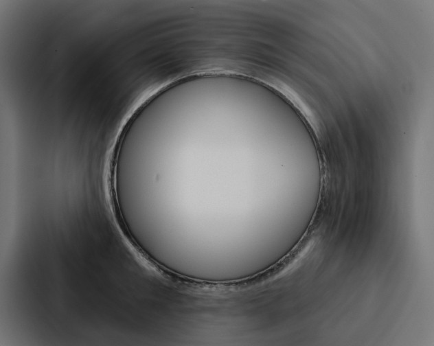 X0000088220901200705151026