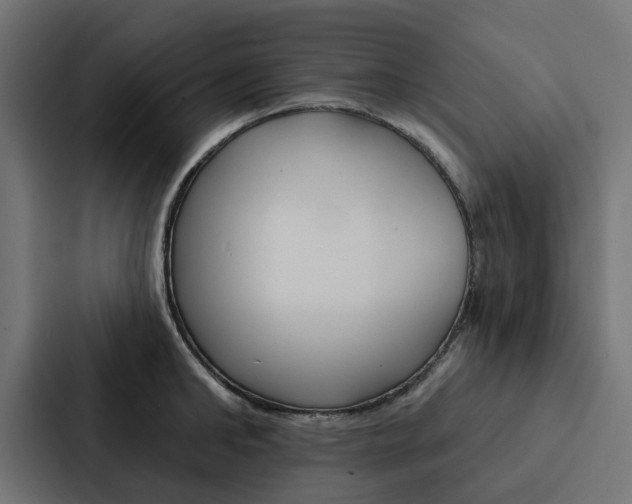 X0000088220902200705151026