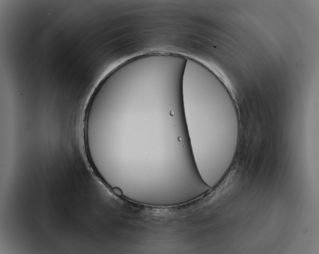 X0000088220903200705151026
