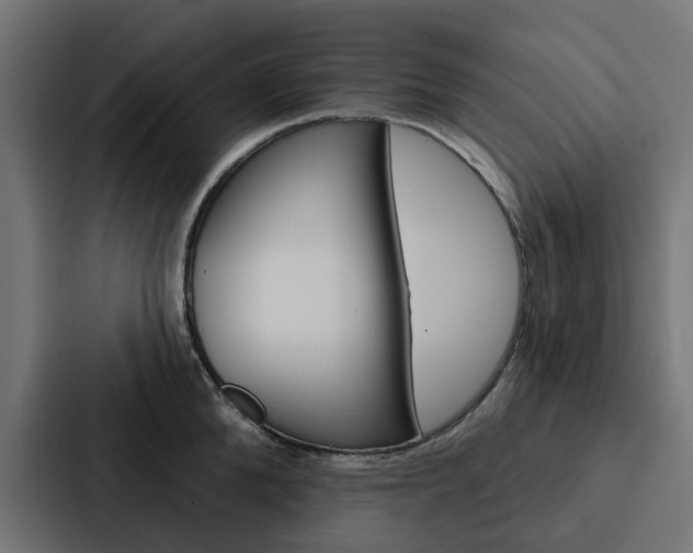 X0000088220904200705151026