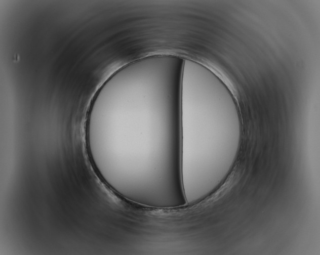 X0000088220906200705151026