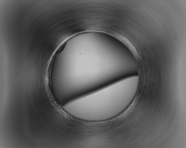 X0000088220908200705151026