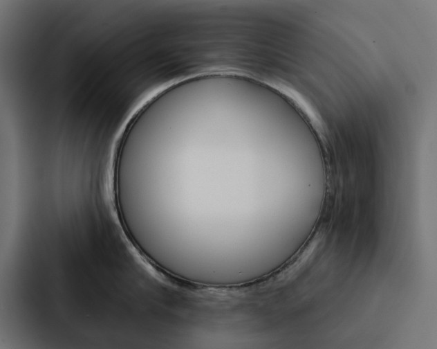 X0000088220910200705151026