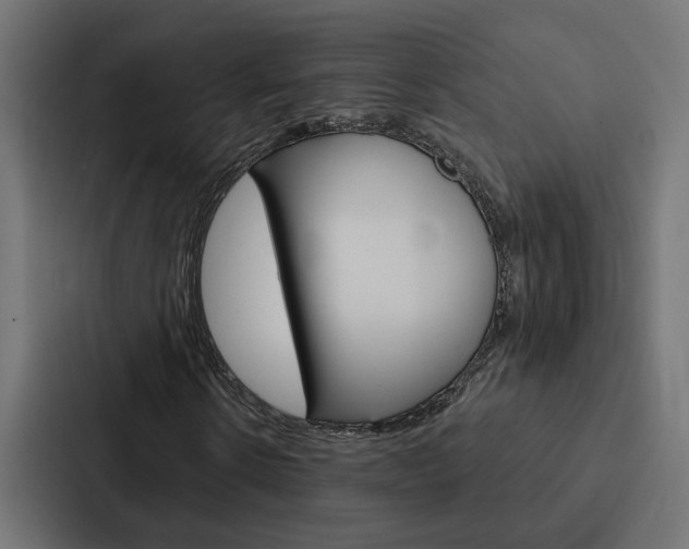 X0000088220914200705151026