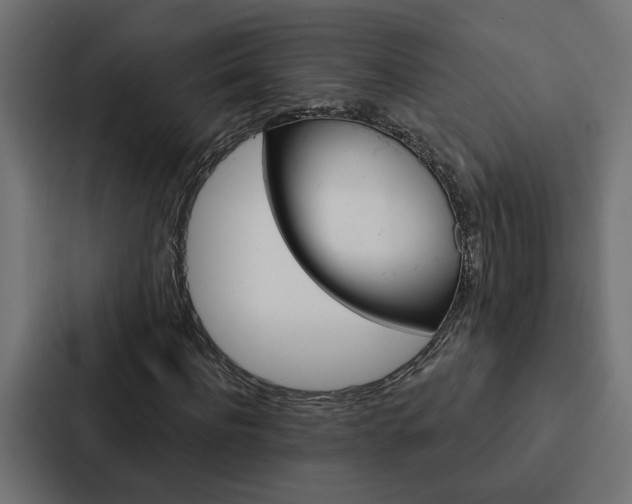 X0000088220916200705151026