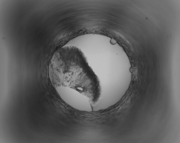 X0000088220917200705151026