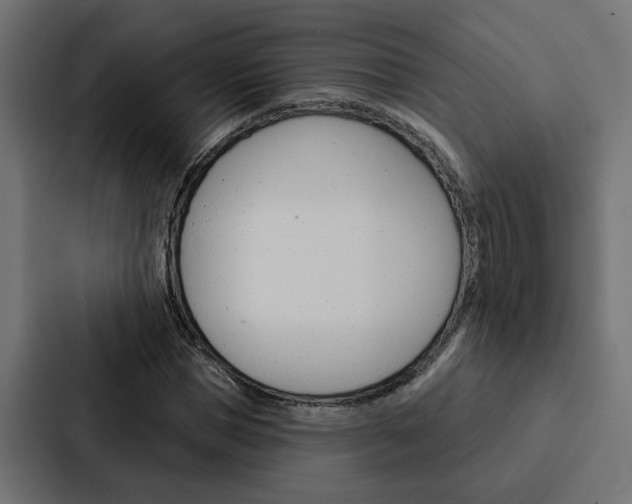 X0000088220921200705151026