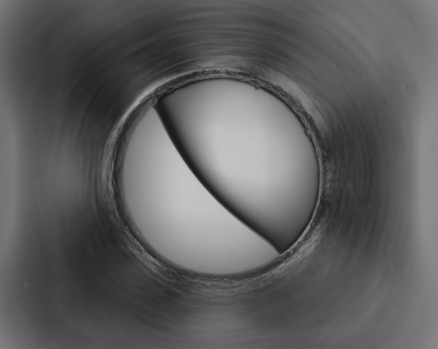 X0000088220923200705151026