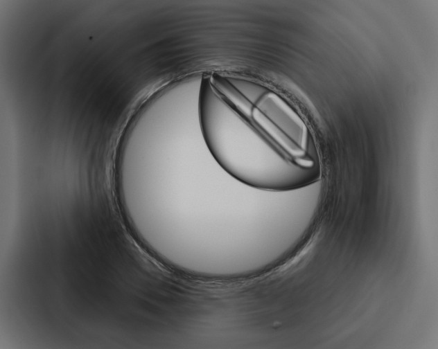 X0000088220930200705151026