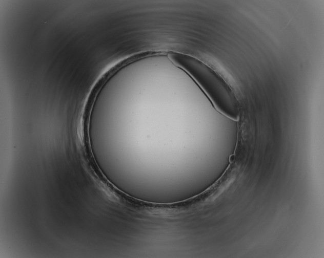 X0000088220932200705151026