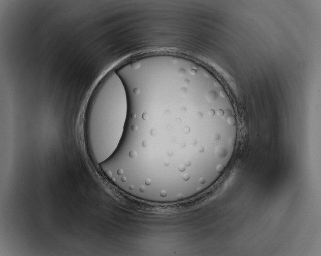 X0000088220933200705151026