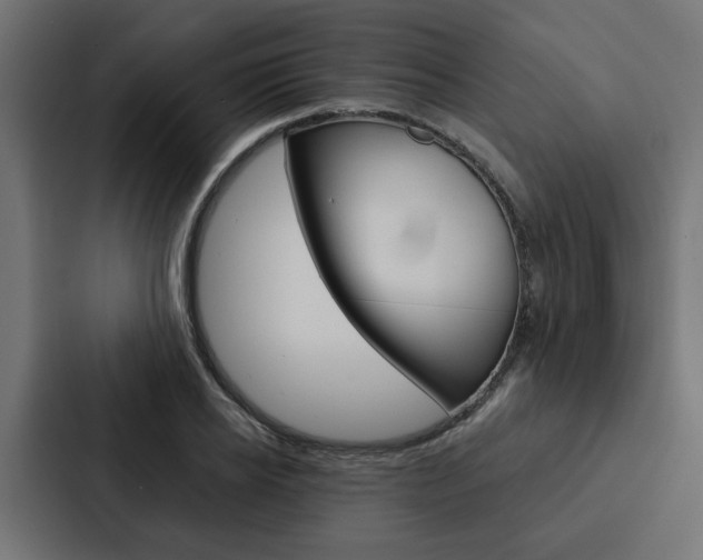 X0000088220934200705151026