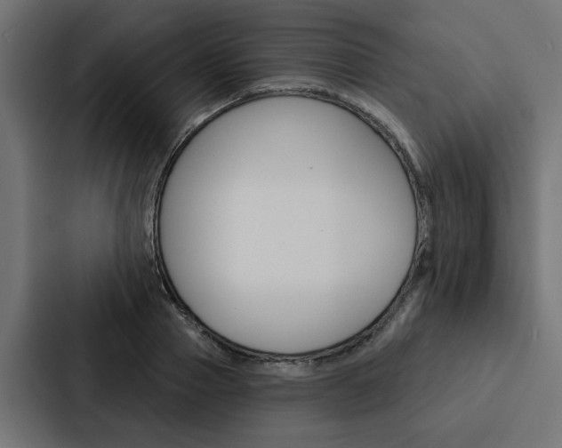 X0000088220937200705151026