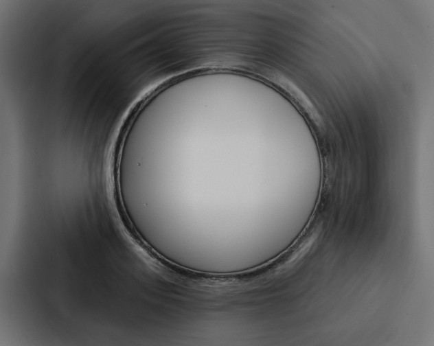 X0000088220939200705151026