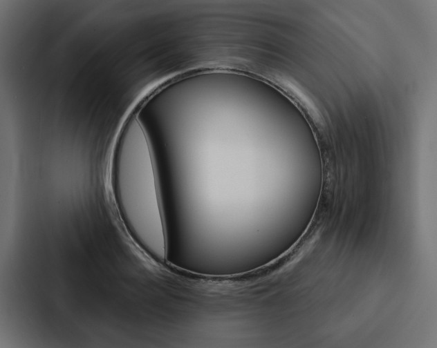 X0000088220940200705151026
