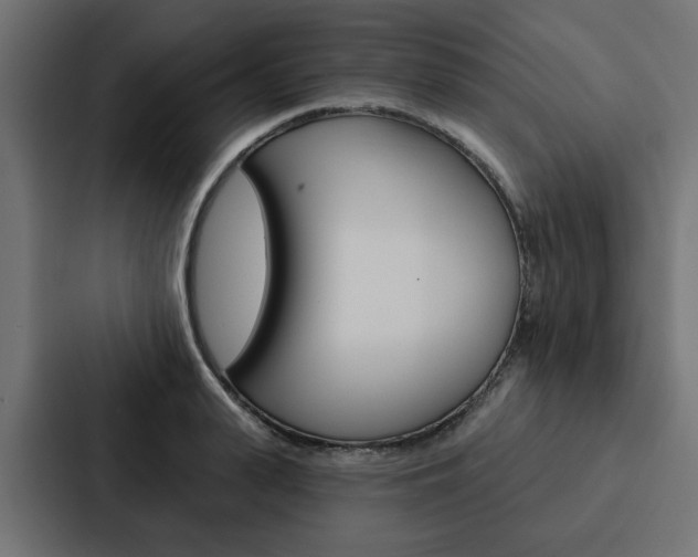 X0000088220943200705151026