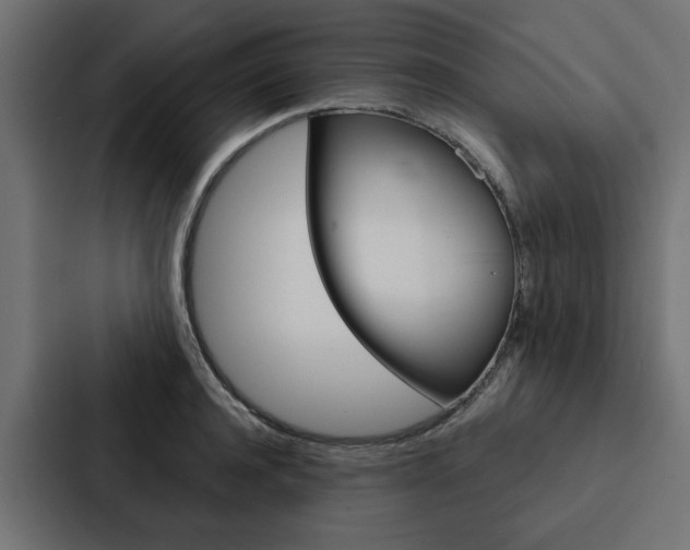 X0000088220944200705151026