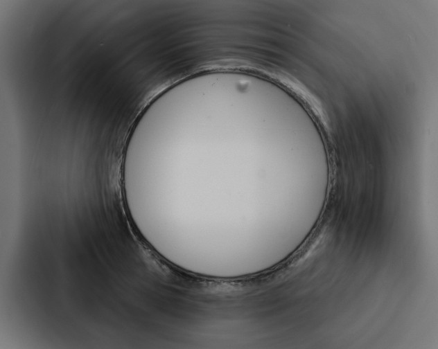 X0000088220945200705151026