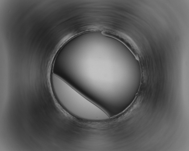 X0000088220946200705151026